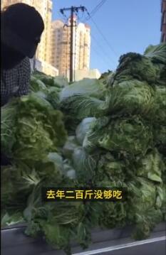 吓到了！东北大娘雇车囤300斤白菜，网友：这很东北